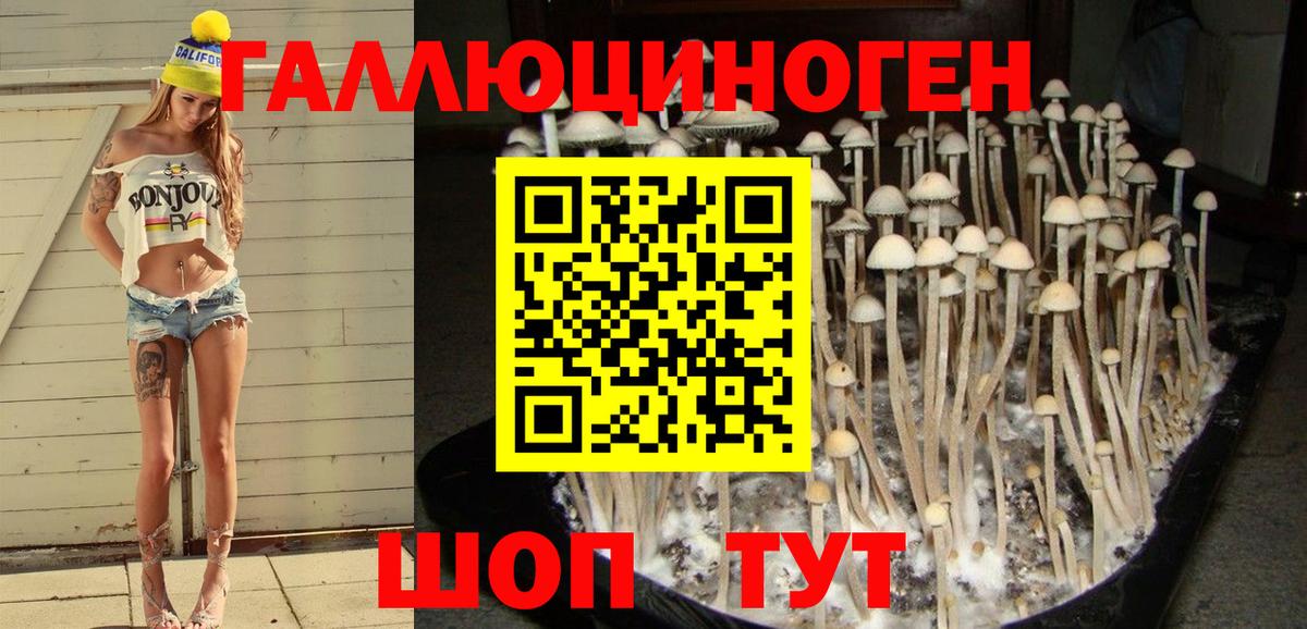 Сертолово  Псилоцибиновые грибы Cubensis  Вход с VPN  Галлюциногенные грибы MAGIC MUSHROOMS 