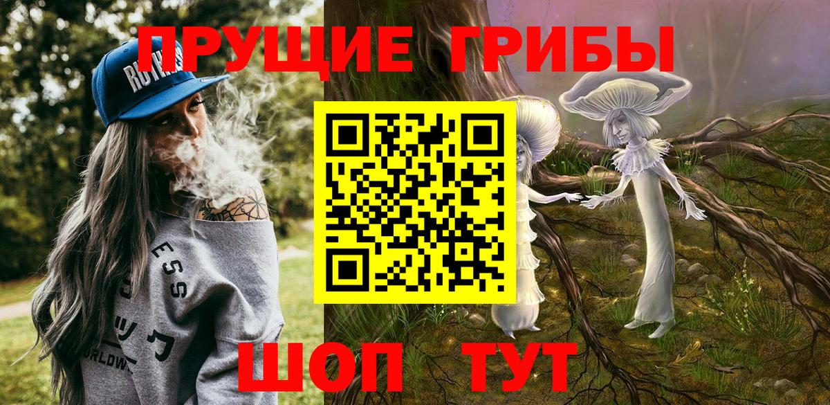 Псилоцибиновые грибы мухоморы Сертолово
